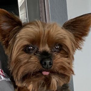 Meet your Posher, Diana